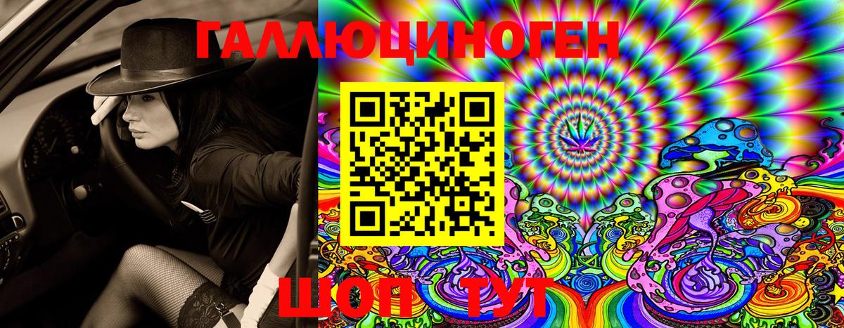 цена   Вход с VPN  Новозыбков  Псилоцибиновые грибы Cubensis 